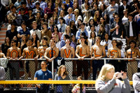 SVL_fans_03