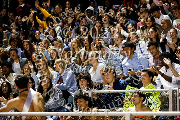 SVL_fans_04