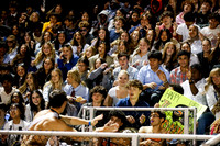 SVL_fans_05