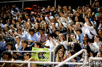 SVL_fans_07