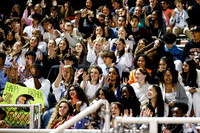 SVL_fans_10