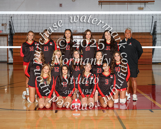 BER_vb-g-v-t_08