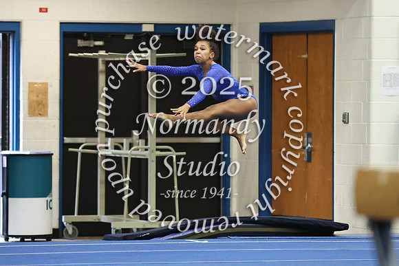 CHS_gy_17