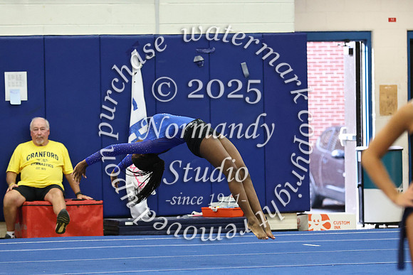 CHS_gy_20