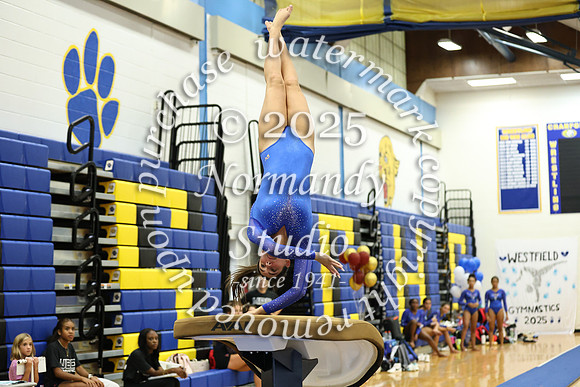 CHS_gy_47