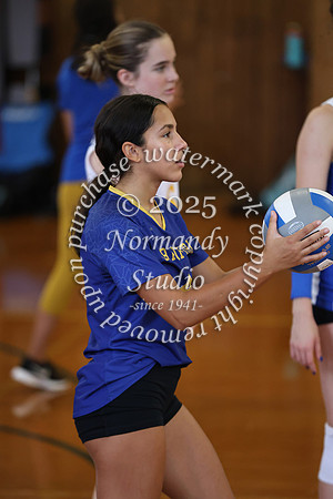 CHS_vb-g_10