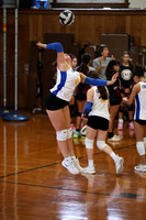 CHS_vb-g_15