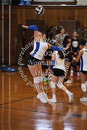 CHS_vb-g_15