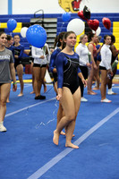WHS_gy_08