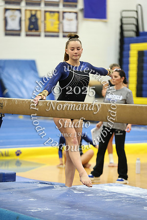 WHS_gy_19