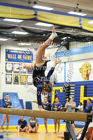WHS_gy_52