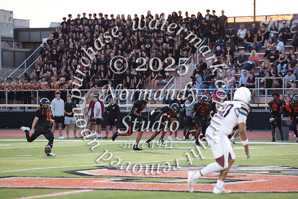 SVL_fb_fans_05
