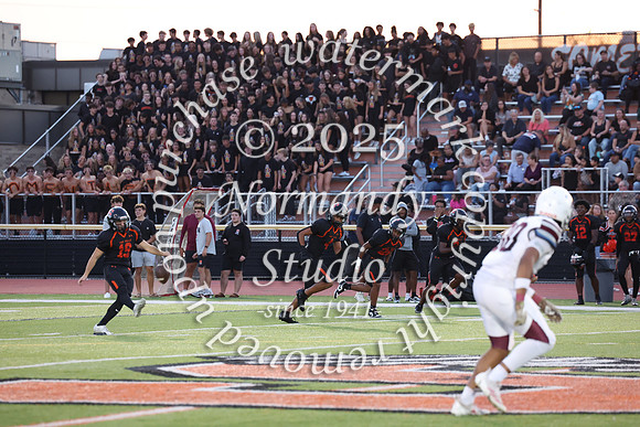 SVL_fb_fans_09
