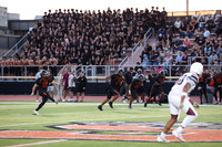SVL_fb_fans_10