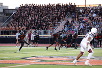 SVL_fb_fans_12