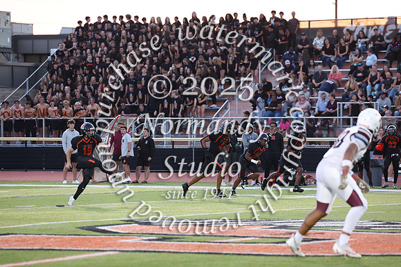 SVL_fb_fans_12