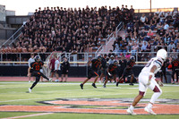 SVL_fb_fans_11