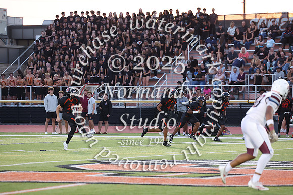 SVL_fb_fans_14