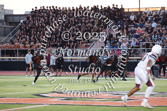 SVL_fb_fans_13