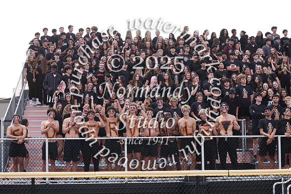 SVL_fb_fans_16