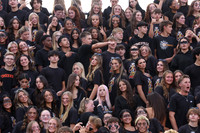 SVL_fb_fans_17