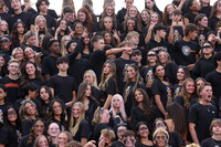 SVL_fb_fans_18