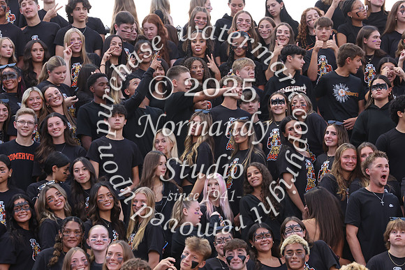 SVL_fb_fans_18