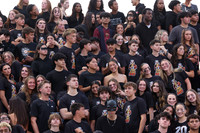 SVL_fb_fans_20