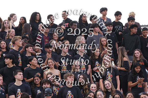 SVL_fb_fans_22