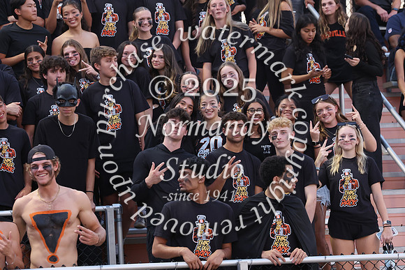 SVL_fb_fans_21