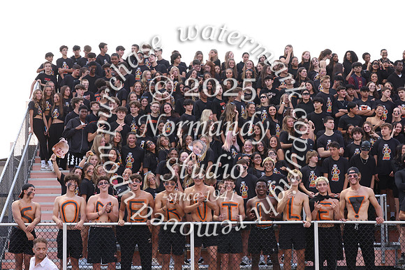 SVL_fb_fans_25