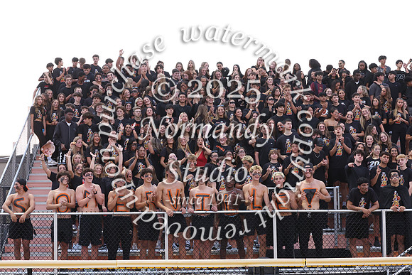 SVL_fb_fans_28