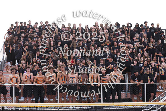 SVL_fb_fans_29