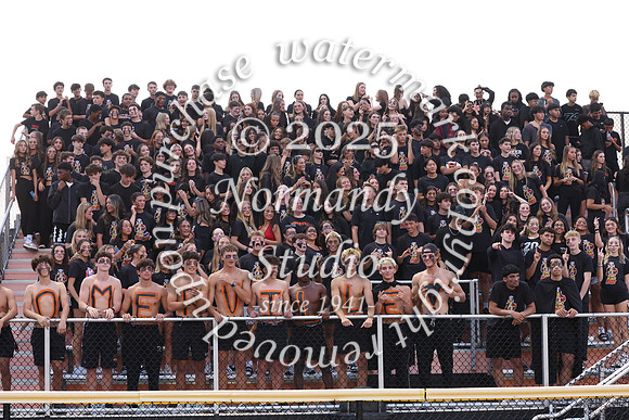 SVL_fb_fans_30