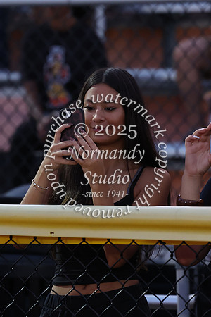 SVL_fb_fans_31