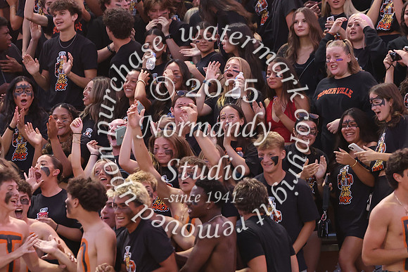 SVL_fb_fans_35