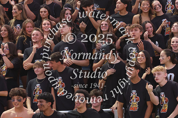 SVL_fb_fans_36