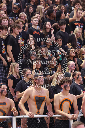 SVL_fb_fans_45