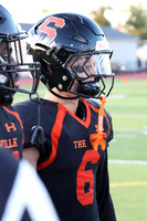 SVL_fb_016
