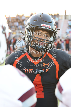 SVL_fb_020