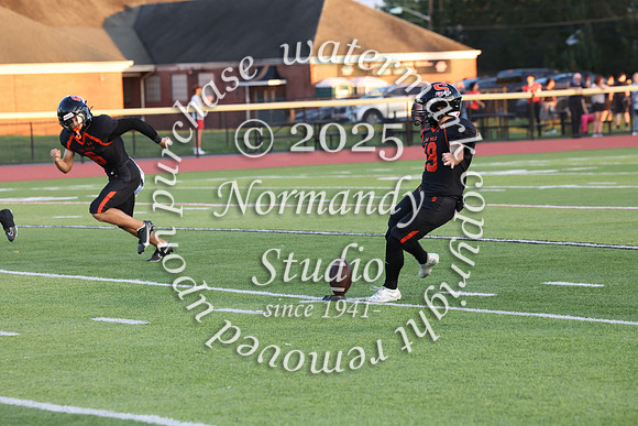 SVL_fb_029