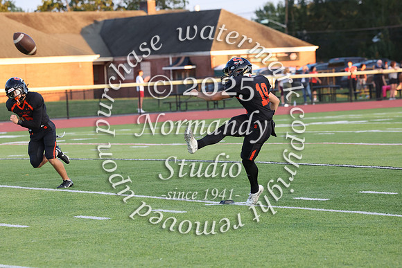 SVL_fb_031
