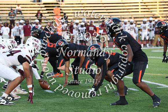 SVL_fb_033