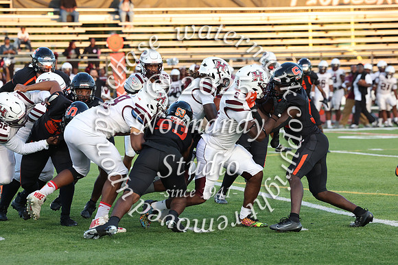 SVL_fb_034