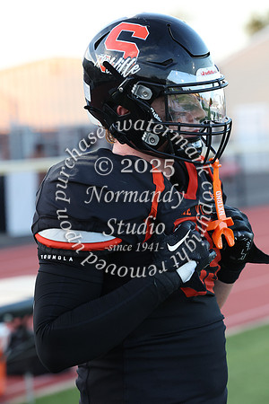 SVL_fb_040