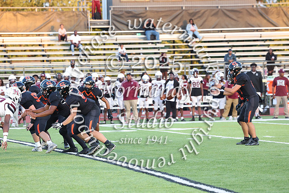 SVL_fb_042