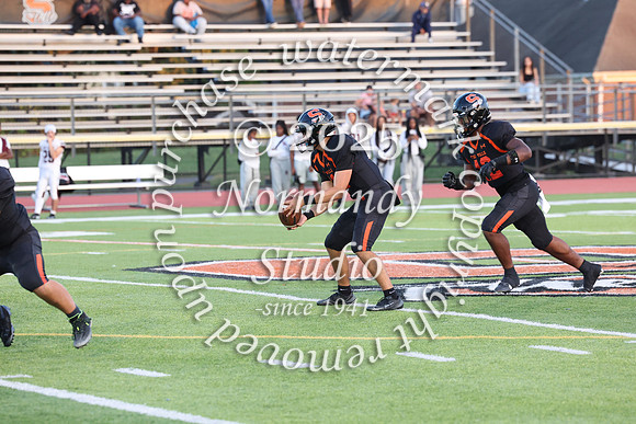SVL_fb_048