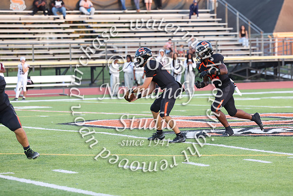 SVL_fb_049