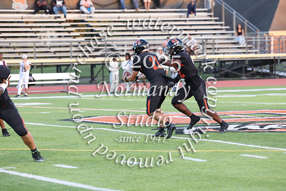 SVL_fb_051