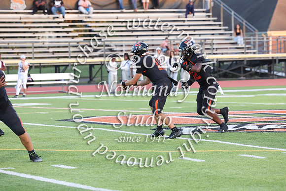 SVL_fb_050